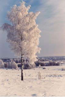 Фотосъемка для бизнеса. Универсальный фотограф.