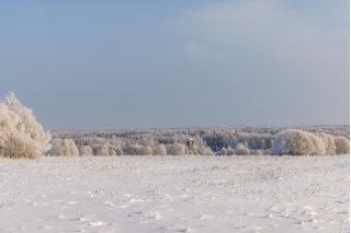 Фотосъемка для бизнеса. Универсальный фотограф.