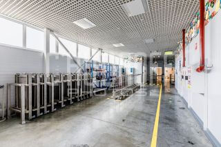 Фотопрезентация для бизнеса за 1 день