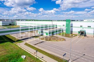 Фотопрезентация для бизнеса за 1 день