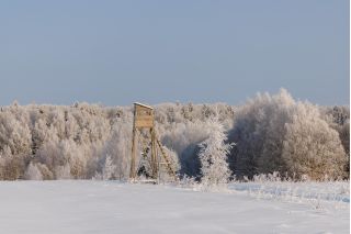 Фотосъемка для бизнеса. Универсальный фотограф.