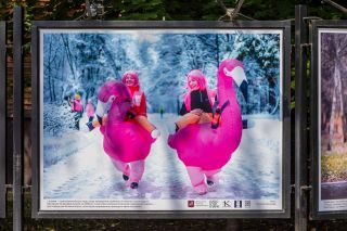 Спортивный репортаж