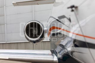 Репортаж и постановочные портреты на выставке.