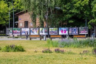 Спортивный репортаж