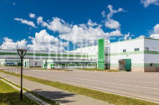 Фотопрезентация для бизнеса за 1 день