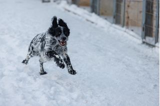 Фотосъемка для бизнеса. Универсальный фотограф.