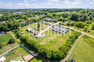 Фотопрезентация для бизнеса за 1 день