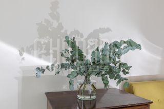 Интерьерная фотосъемка профессиональной фотостудии.