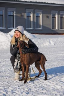 Фотосъемка для бизнеса. Универсальный фотограф.