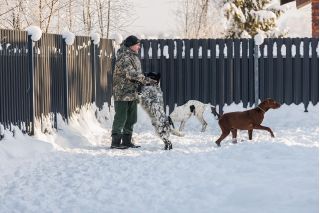 Фотосъемка для бизнеса. Универсальный фотограф.