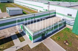 Фотопрезентация для бизнеса за 1 день