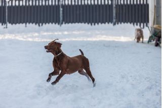 Фотосъемка для бизнеса. Универсальный фотограф.