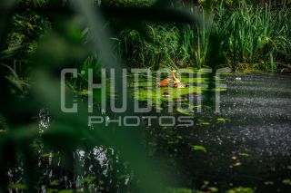 Фотосъемка недвижимости. Загородный дом: интерьер, экстерьер, участок.