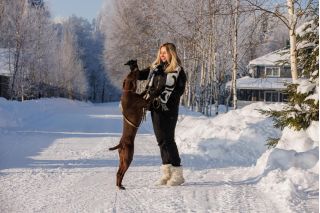 Фотосъемка для бизнеса. Универсальный фотограф.