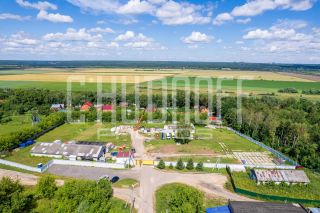 Фотопрезентация для бизнеса за 1 день