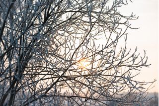 Фотосъемка для бизнеса. Универсальный фотограф.