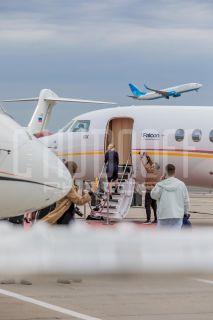 Репортаж и постановочные портреты на выставке.