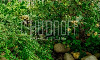 Фотосъёмка недвижимости. Интерьер загородного дома.