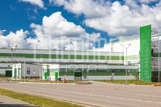 Фотопрезентация для бизнеса за 1 день