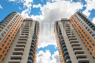 Фотосессия для портфолио компании и каталога.