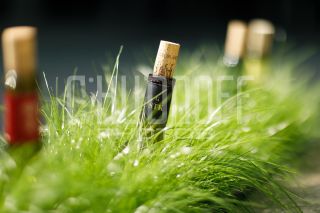 Прогулка с фотографом в Москве