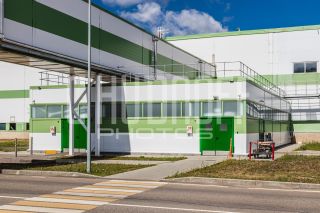 Фотопрезентация для бизнеса за 1 день