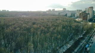 Контент для профессиональной презентации объекта недвижимости.