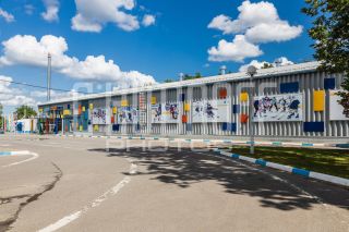 Фотопрезентация для бизнеса за 1 день