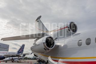 Репортаж и постановочные портреты на выставке.