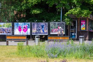 Спортивный репортаж