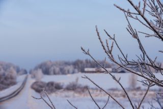 Фотосъемка для бизнеса. Универсальный фотограф.